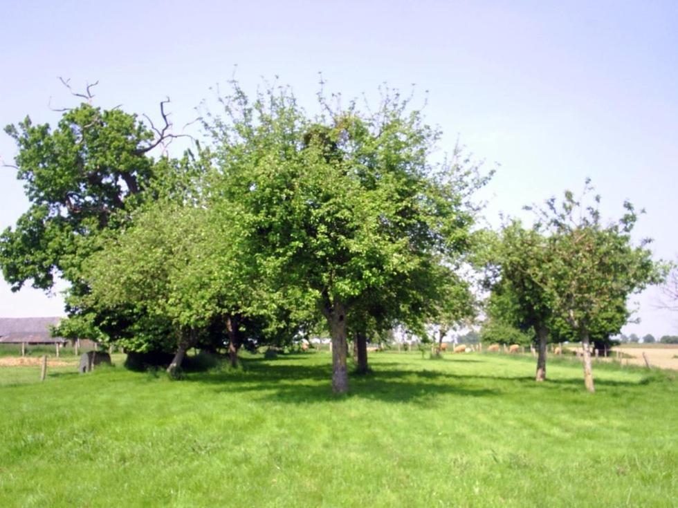 Chambres D'Hote Honey Orchard Farm Vessey Dış mekan fotoğraf