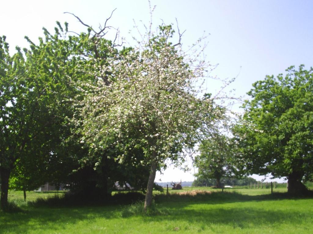 Chambres D'Hote Honey Orchard Farm Vessey Dış mekan fotoğraf