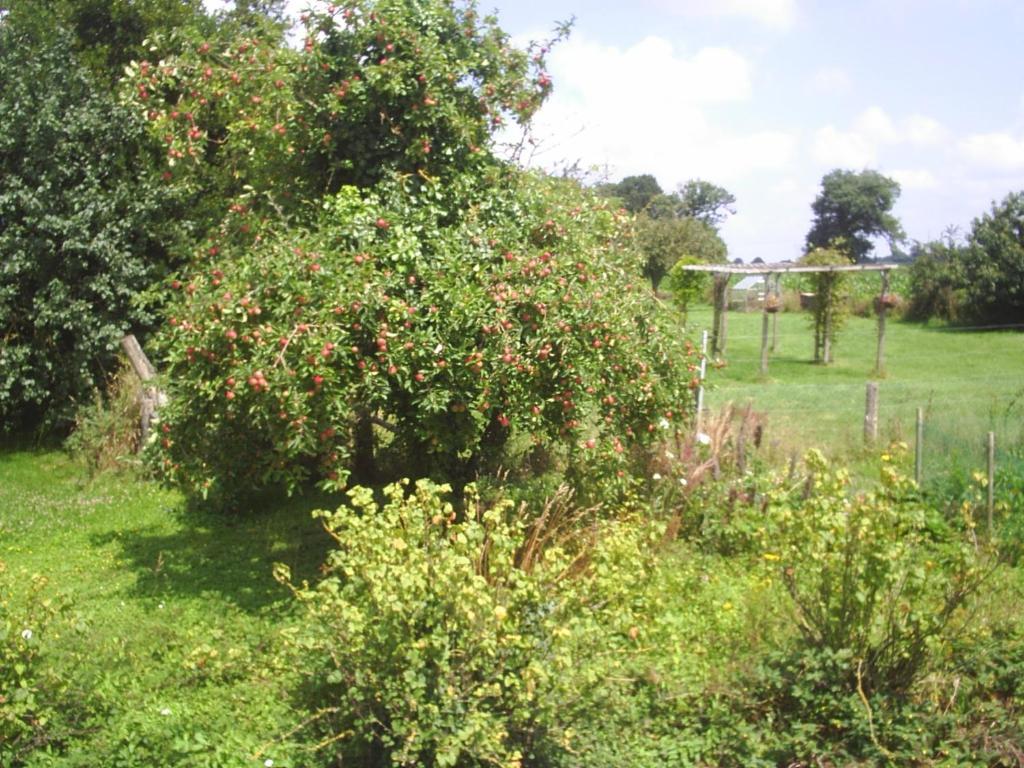 Chambres D'Hote Honey Orchard Farm Vessey Dış mekan fotoğraf