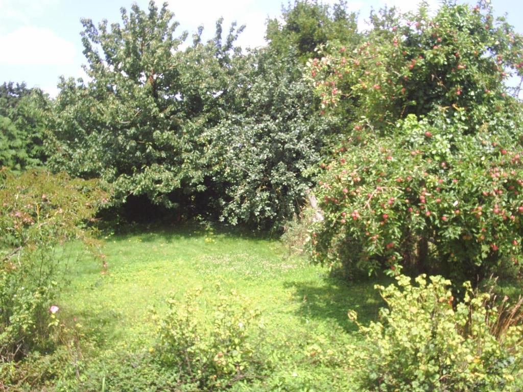 Chambres D'Hote Honey Orchard Farm Vessey Dış mekan fotoğraf